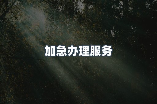 加急办理服务